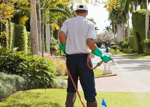 About Madison AR Pest Control Pros